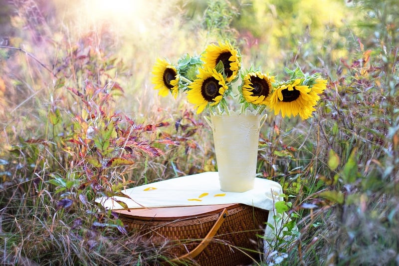 Flowers in a garden